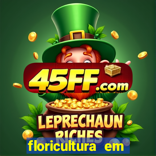 floricultura em franca sp
